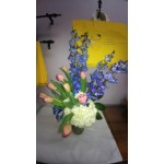 Tulip and more